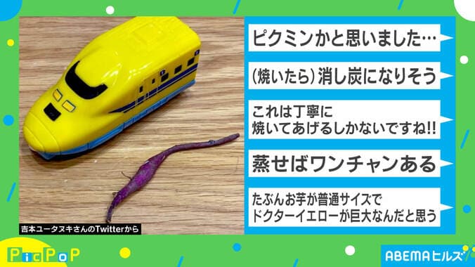 さすがに焼けない…！ 息子が持ってきた物体に「ピクミンかと思った」と反響 2枚目