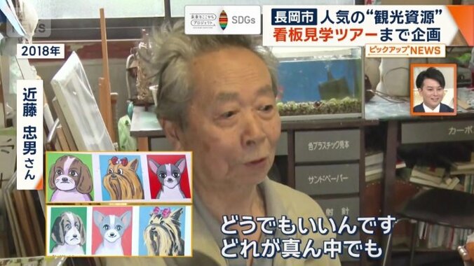 チワワとヨークシャーテリアの順番が逆に