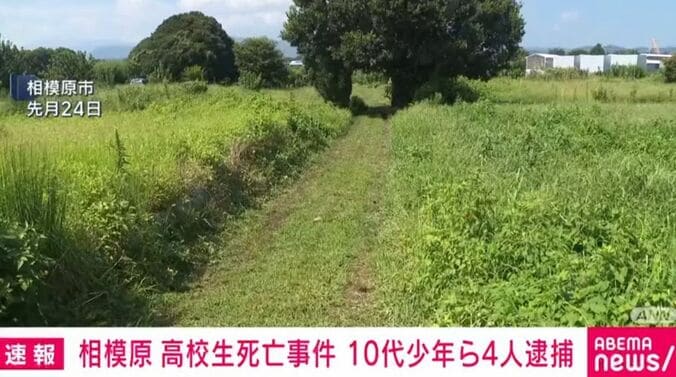 相模原市