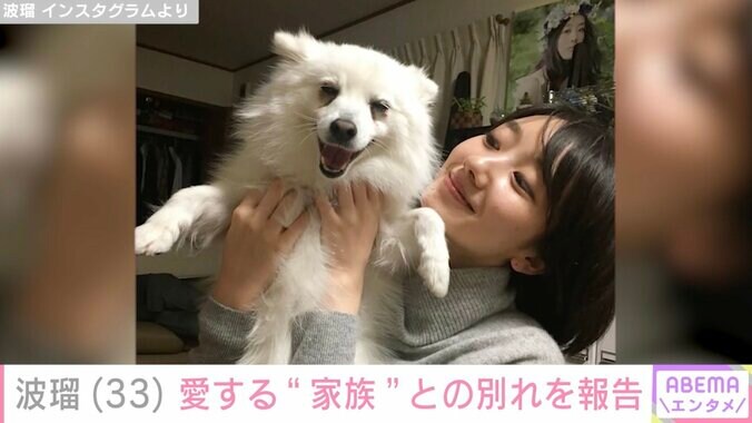 【写真・画像】波瑠（33）、1年前に愛犬と別れ「むくはお星さまになりました」「おかーさん元気に頑張ってるよ！」　1枚目