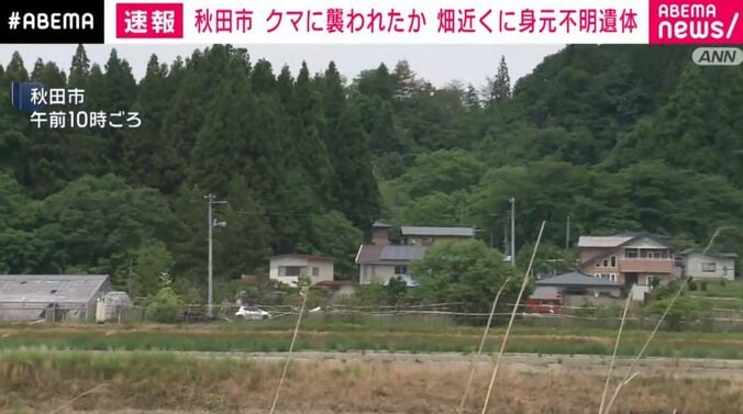 秋田市