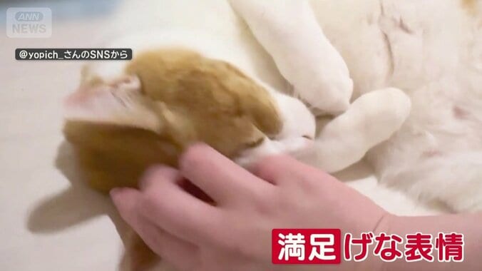 満足げ