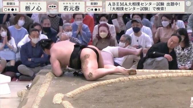 勝った巨漢力士が勢いよく土俵下に落下　館内騒然「大丈夫!?」「思わず叫んだ＆ヒヤリとした」安堵の声も 1枚目