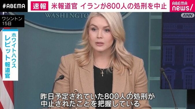 レビット報道官