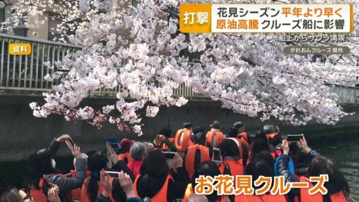 お花見クルーズ