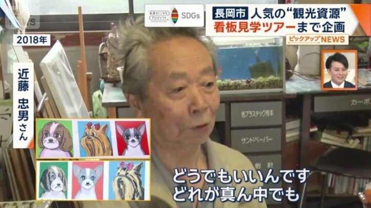 チワワとヨークシャーテリアの順番が逆に