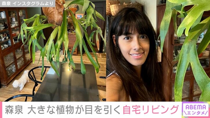 森泉の自宅リビング