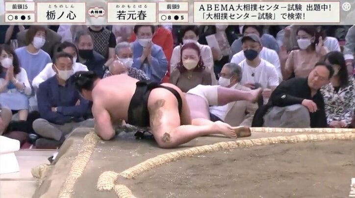 勝った巨漢力士が勢いよく土俵下に落下　館内騒然「大丈夫!?」「思わず叫んだ＆ヒヤリとした」安堵の声も