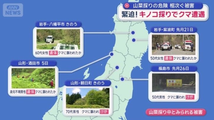 山菜採り中とみられる被害
