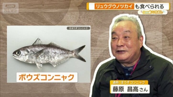 筋金入りの専門家