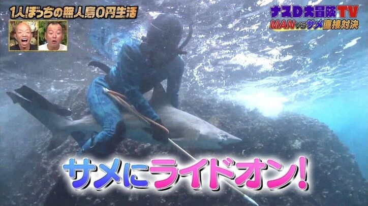 ナスD、無人島でついにサメを捕獲！ 海中“ライドオン”にバイきんぐも衝撃「命がけだよ…」「なんで躊躇なく行けるの？」