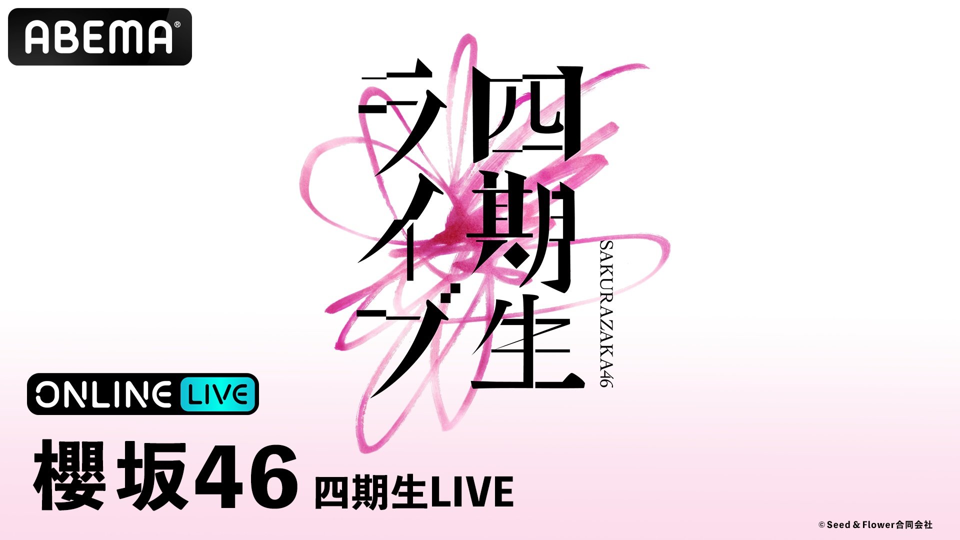 櫻坂46四期生LIVE、週末はみんなで楽しもう！