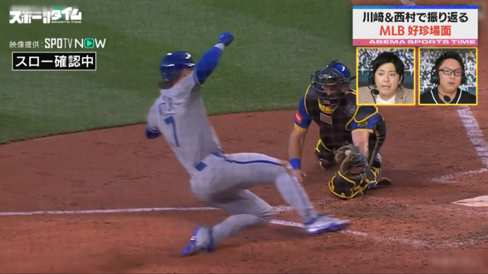 【写真・画像】　1枚目