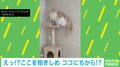 キャットタワーの降り方が独特な猫 柱にしがみつく姿に「自分の身体能力信じて」「安全第一」視聴者くぎ付け