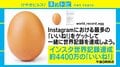 インスタ「いいね！」世界記録更新はまさかの“卵”、タマゴ専門家の見解は