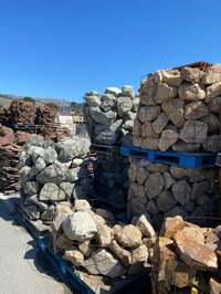 野沢直子『自分で言う。うちの庭、最高。笑』