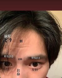 「素晴らしすぎるお顔に乾杯」岡田健史による“顔上部紹介”に悶絶するファン続々