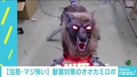 けやきヒルズ - ネットピ - 【注意・マジ怖い】獣害対策のオオカミロボ 他 (19/01/25) | 動画視聴は【Abemaビデオ(AbemaTV)】