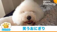 【映像】「笑うおにぎり」→「顔が欠けたアンパンマン」に