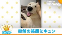 【映像】撫でても無反応の犬が数秒後に見せたキュートなリアクション