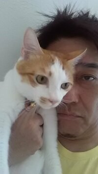 坂上忍『やっほ～い！』