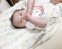 キンタロー。『ありがとうたまごクッション』