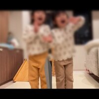 石田あゆみ『石田双子、漫才始めました。』