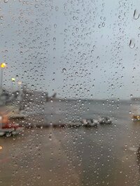 横山だいすけ『元気パワー送るよ！』