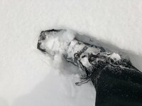 ロマ『Youは何しに日本へ？ウェブ限定 スペシャル版♪』