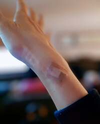 秋野暢子『大腸　大丈夫でした。』