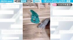 激しく踊るクリスマスツリーに“興味津々”のデグーが、SNSで話題！「周りうろちょろしてるの可愛い」