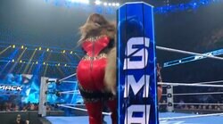 「嫌な音がした」超重量級女子レスラーの“ケツアタック”で鉄柱激突…悶絶の金髪美女にファンからも悲鳴「いってぇぇぇ」