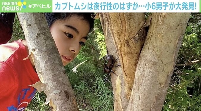 米の生態学専門誌『Ecology』に論文掲載 小学6年生“カブトムシ研究者”にインタビュー 4枚目