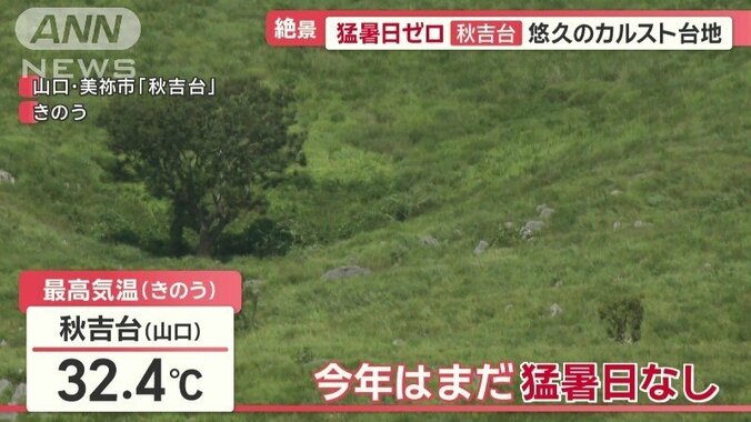 今年はまだ、猛暑日を1日も記録していない