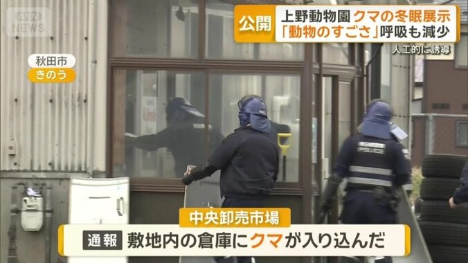 敷地内の倉庫にクマが入り込んだとの通報　秋田市の中央卸売市場