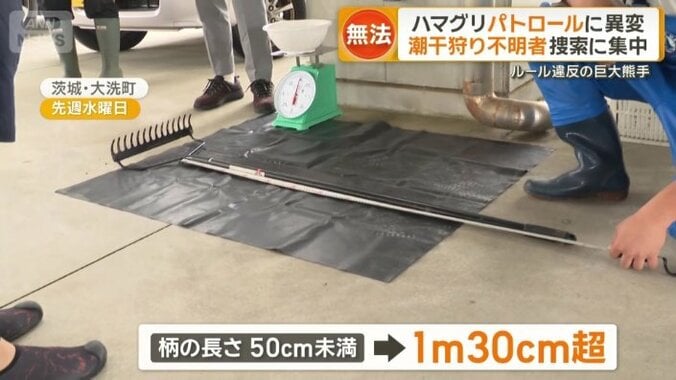 熊手の柄の長さは50センチまでとされているが…