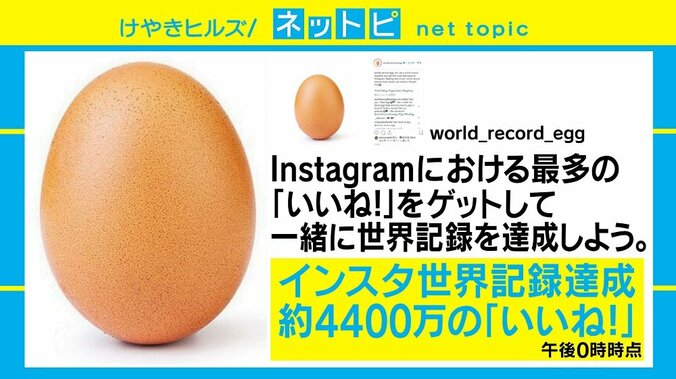 インスタ「いいね！」世界記録更新はまさかの“卵”、タマゴ専門家の見解は 1枚目