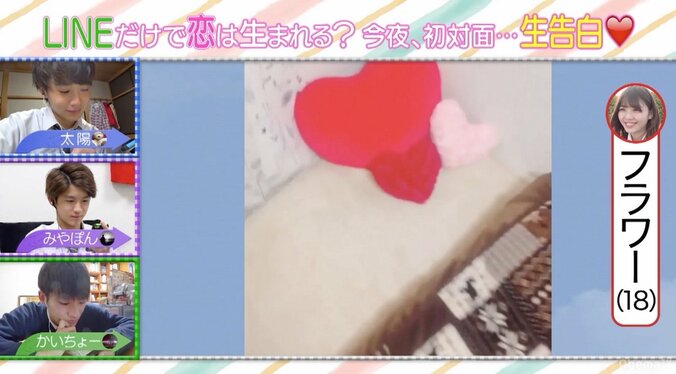 パンサー向井、ピンク一色の女子部屋に「30歳くらいになるとキツイ」 7枚目