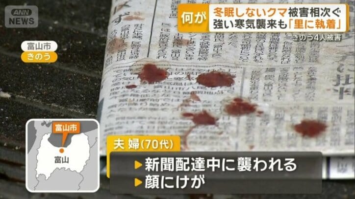 新聞配達中にクマに襲われる