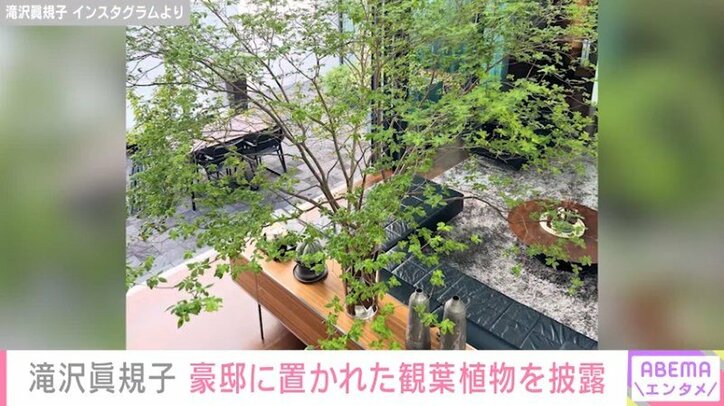 滝沢眞規子のInstagramより