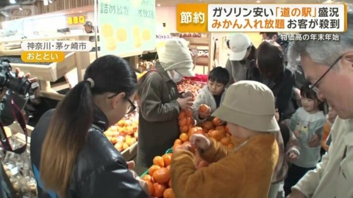 みかん入れ放題