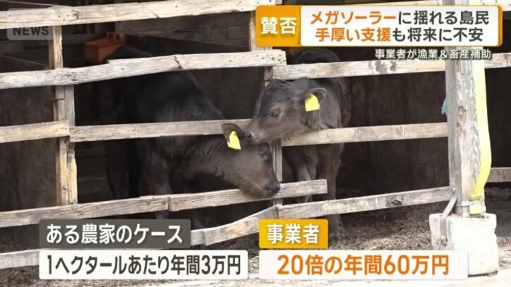 牧草を育てる農地