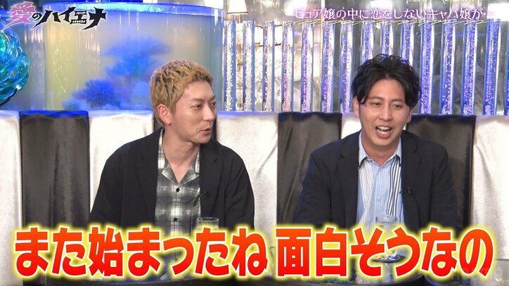 「キャバ嬢とバレずに告白されたら10万円」疑心暗鬼になる恋愛企画にニューヨークら大興奮「おもろっ！」「みんな怪しいな」