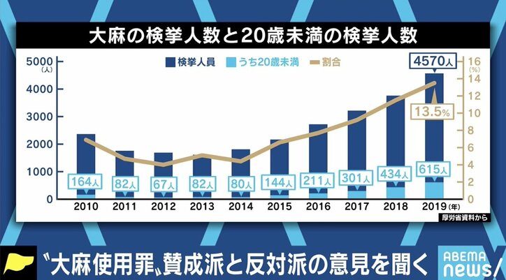 厚労省が法改正を検討 “大麻使用罪”創設は必要か