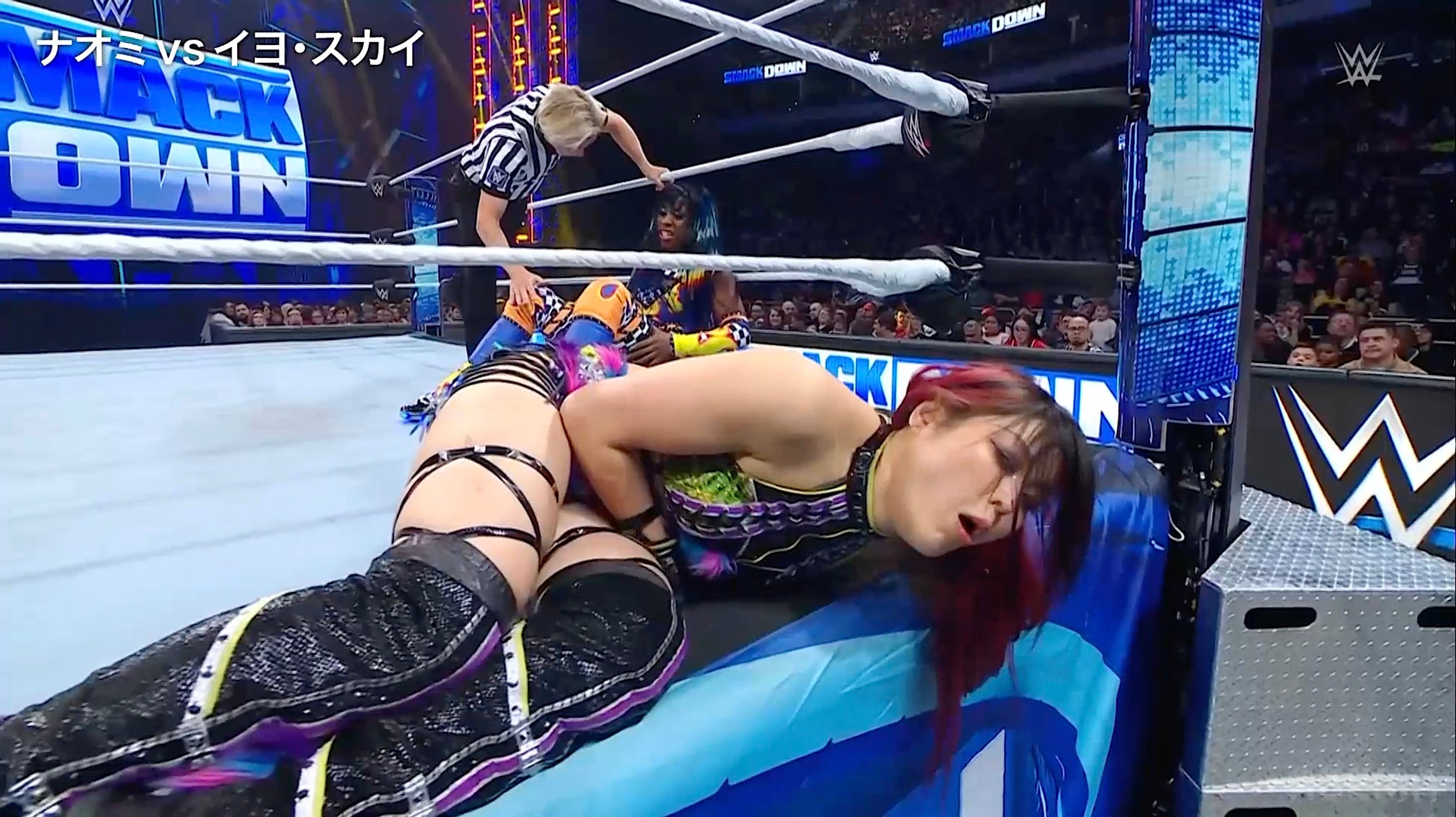 女子プロレス ポロリ 