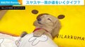“無防備な姿”の犬 マイペースに仰向けで熟睡する姿に飼い主ほっこり