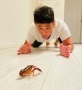 ココリコ・遠藤の妻、飼育するザリガニを散歩させる夫の姿を公開「愛情を注いでおります」