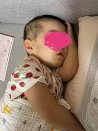 とんこっちゃん・ふじ子『ぼっちゃんですばーい』