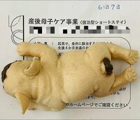 だいたひかる『助産師さんにオススメされた事』