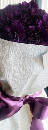 市川海老蔵『母の日』